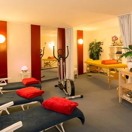 Schmidt's Hoern 3*